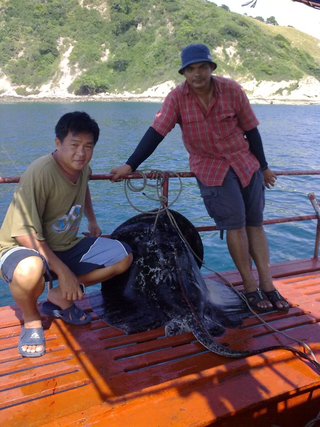เย่อกันสองคน