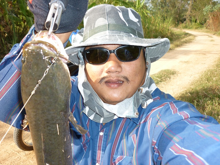 ภ่ายเห็นแต่หัวปลา   กัดหนูยางเต็มปาก สังเกตุตรงกิ๊บผมดัดลวดเพื่อใช้กับเหยื่อยางโดยเฉาะกันปลากินลึก :