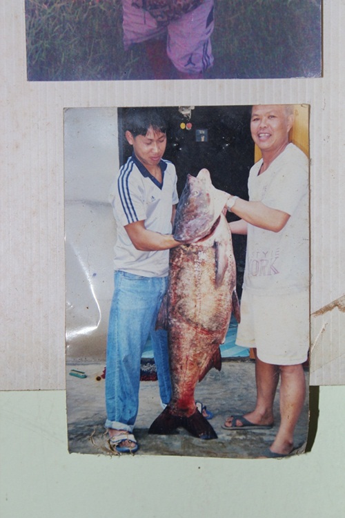 

   นี่เป็นรูปเก่าที่ติดในร้าน  ปลาตัวนี้ตกได้ที่เขื่อนบ้านลาน อ.ฝาง  จ. เชียงใหม่  ประมาณ  15  -