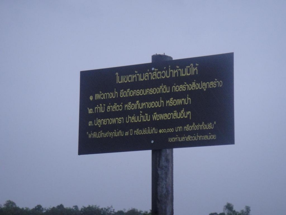 เชือดโปร พัทลุง