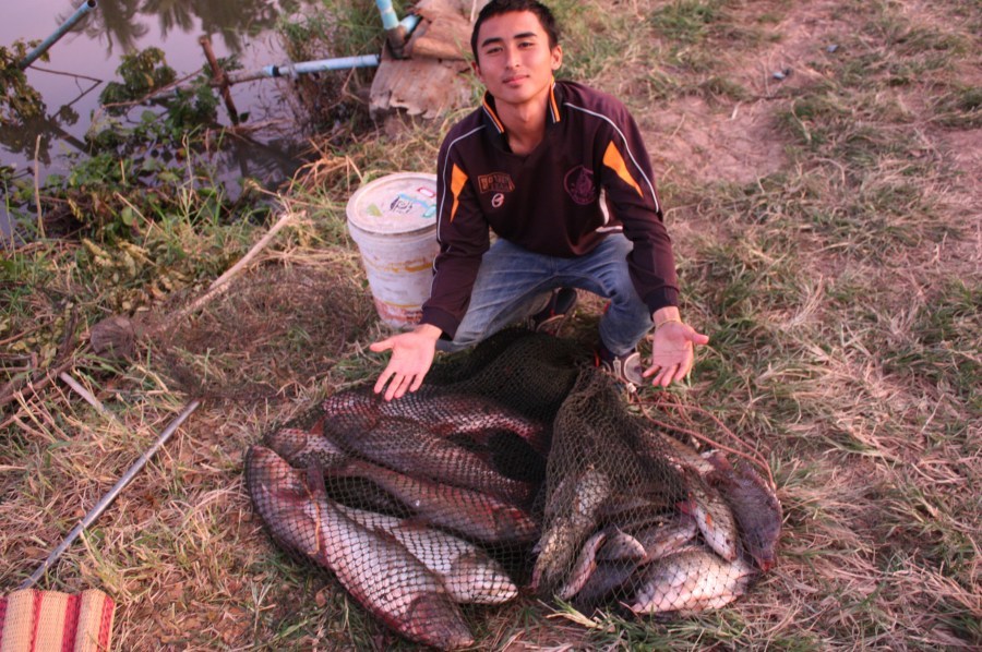 พอได้ปะครับน้า  :grin: :grin: :grin: