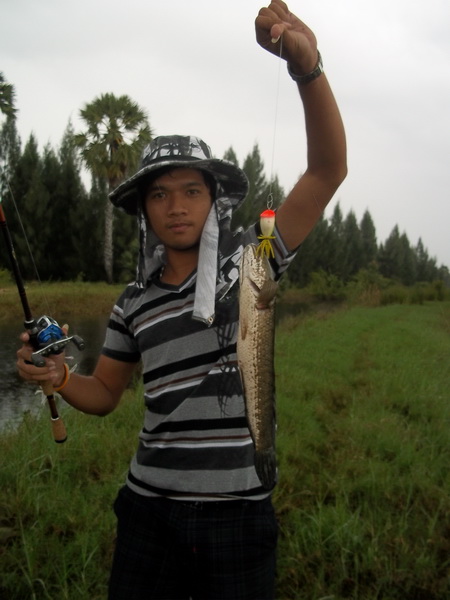 [q][i]อ้างถึง: Siamfishing_ta posted: 23-12-2554, 10:02:28[/i]

[q][i]อ้างถึง: uncleban posted: 23