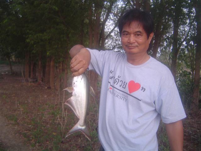 ขอเท่ซักภาพ