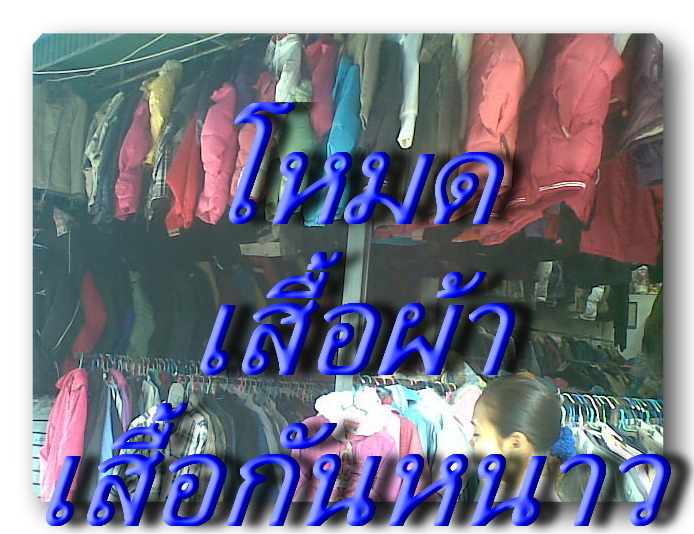 เสือป้ากันหนาว เยอะมาก ๆครับ  

ไม่แพ้ รองเท้าเลยน่ะครับ 

มีทุกโซนครับ    แต่มักจะอยู่โซน 3,4,5