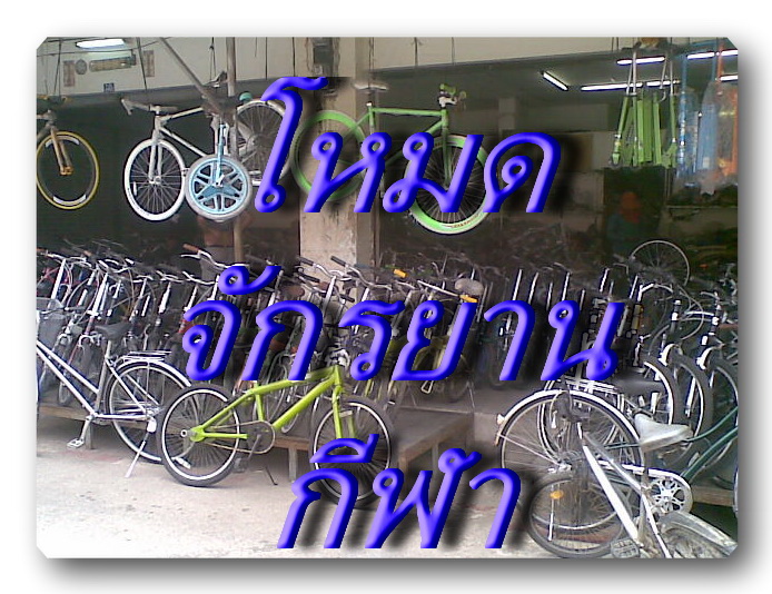 จักรยาน  มีอยู่  3 ร้าน  ถ้า  ไม่ผิดน่ะ  มาจากยี่ปุ่น  ผ่านการซ่อมมาอย่าง ทะนุทะนอม

ทำสี  ทำเงา  