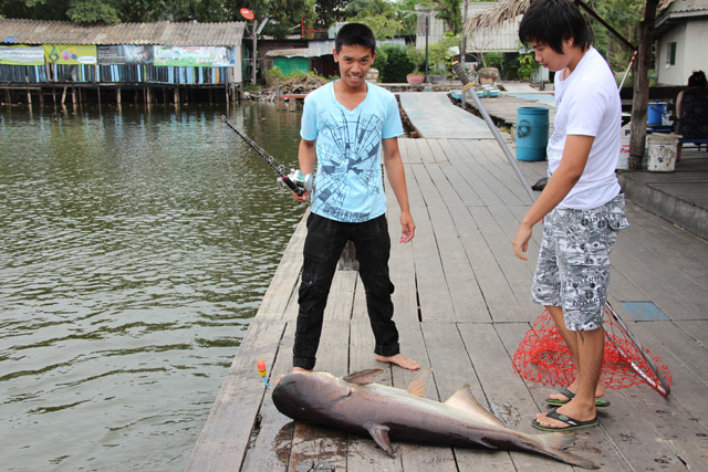 ปั้มก็เหนื่อตามปกติ
 :laughing: :laughing: :laughing: :laughing: :laughing: :laughing:






