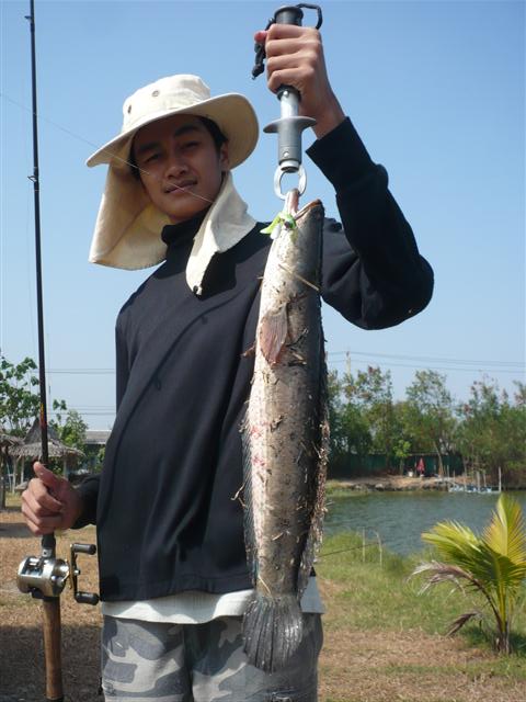 เลยต้อง  จัดใหมันไป  2รูป   ตามระเบียบ!!!~   มันยิ่งได้ใจเลย!!~     ผมเลย เปลี่ยนจาก  เอ็กแร็ป 8  ไป