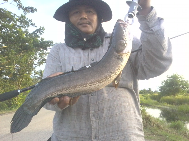 บางหออีกแล้วววววว
