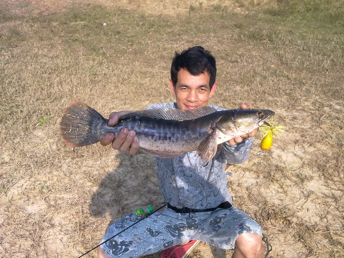 จัดไป