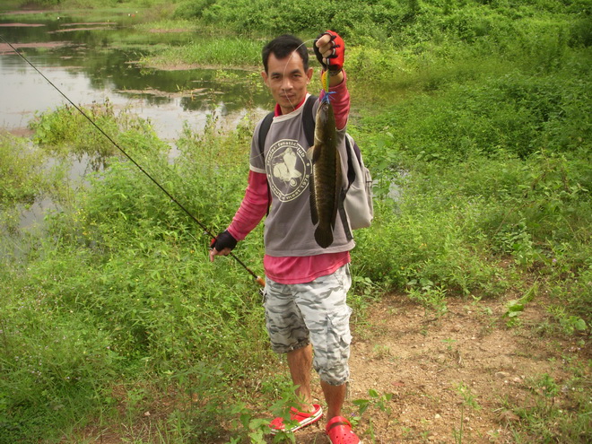 หลังๆนี่ก้อรวมเลยนะครับมันหลายที่เหลือเกิน