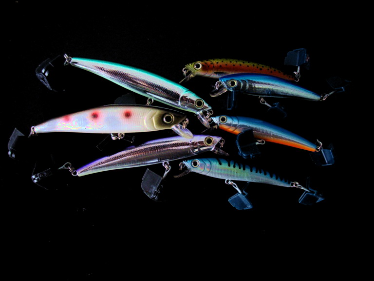 
 minnow       :love: :love: