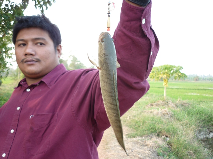 หลอดๆต้องเจอสปินเนอร์ :laughing: :laughing: :laughing: