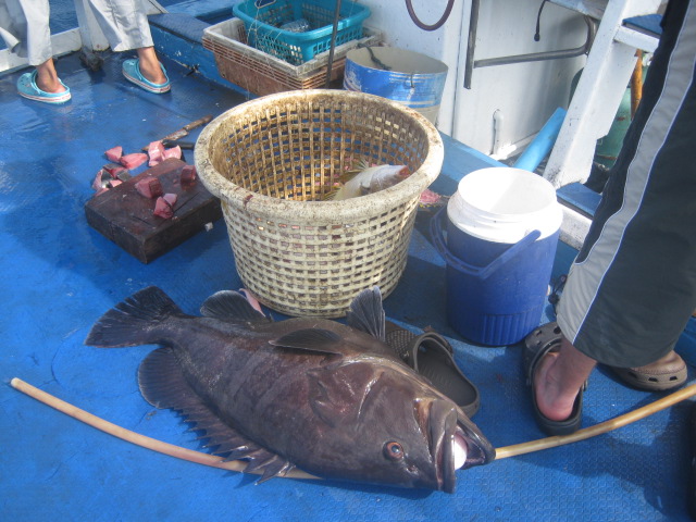 ....จังหวะเกี่ยวปลาขึ้นเรือ..เกี่ยวหลุด!!!!!!....
.....ได้มา 1 โต๋... :grin: :grin: