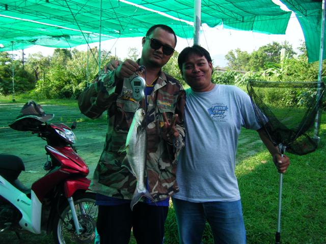 ลากันด้วยภาพนี้ครับ......หลังปีใหม่มีโปรแกรมไปบ้าน ผบ.ถ้ามีชอตเด็ดจะมานำเสนออีกครับ
ขอบคุณสยามฟิชชิ