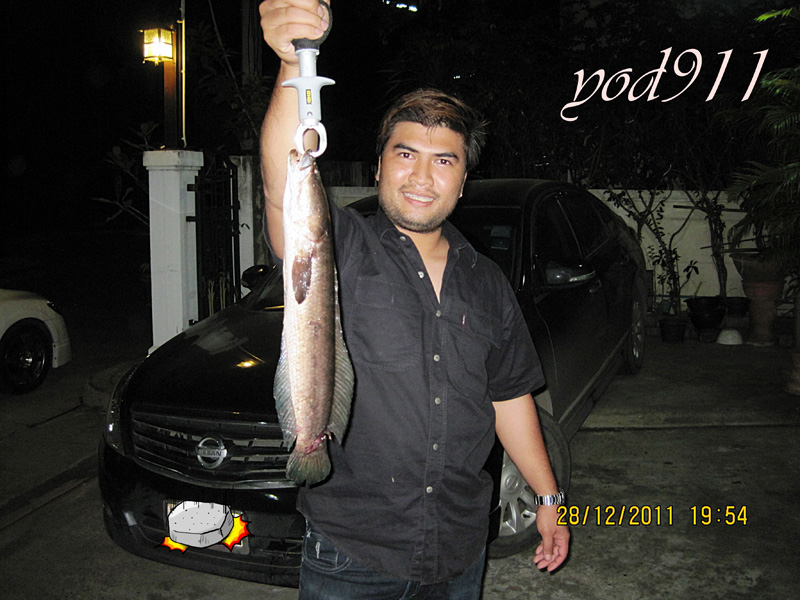  :cool:ตัวนี้หลักโลครับ