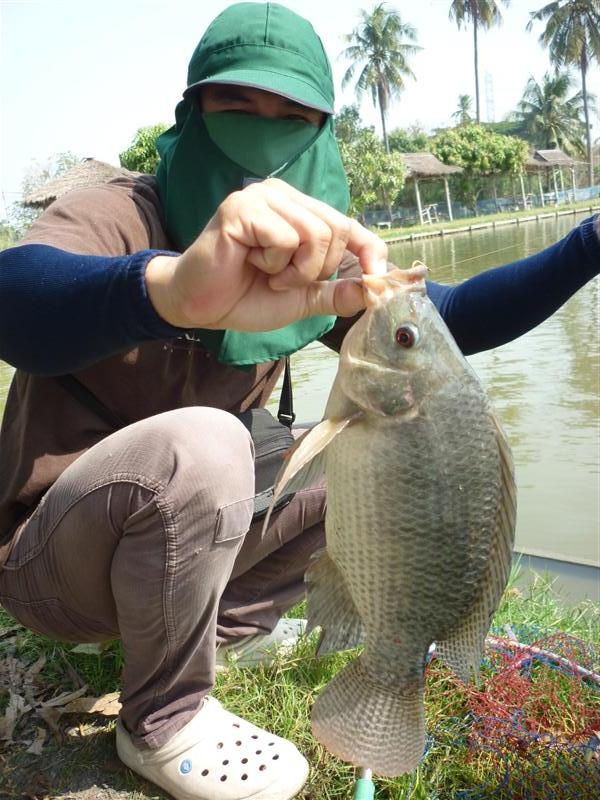 พอเห็นไซส์  ชักจะพูดกันถึง เมนู บ่ายๆล่ะครับ :umh: