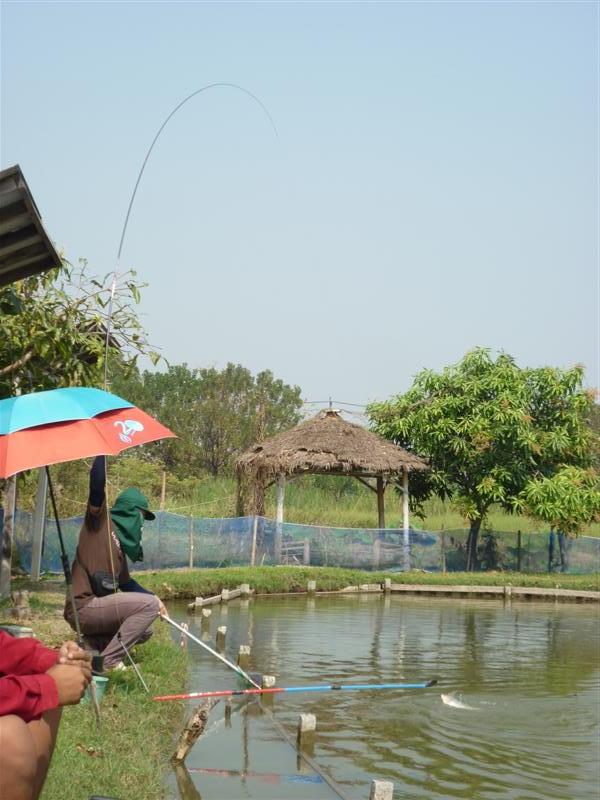 ดูเอาเถอะครับ  :laughing: