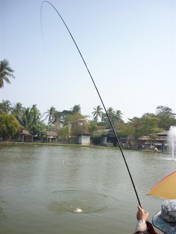 ขนมปังป่น หัวเชื้อ นี่แรงสู้ไม่ได้เลยแฮะวันนี้