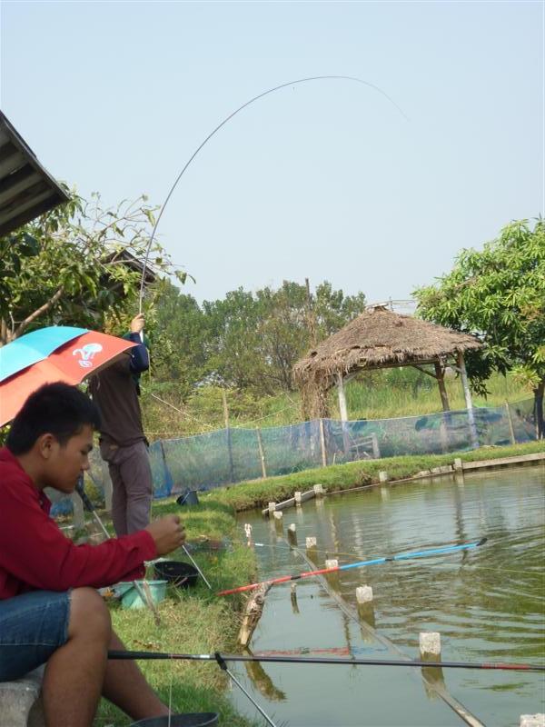 โหน่งมั่ง