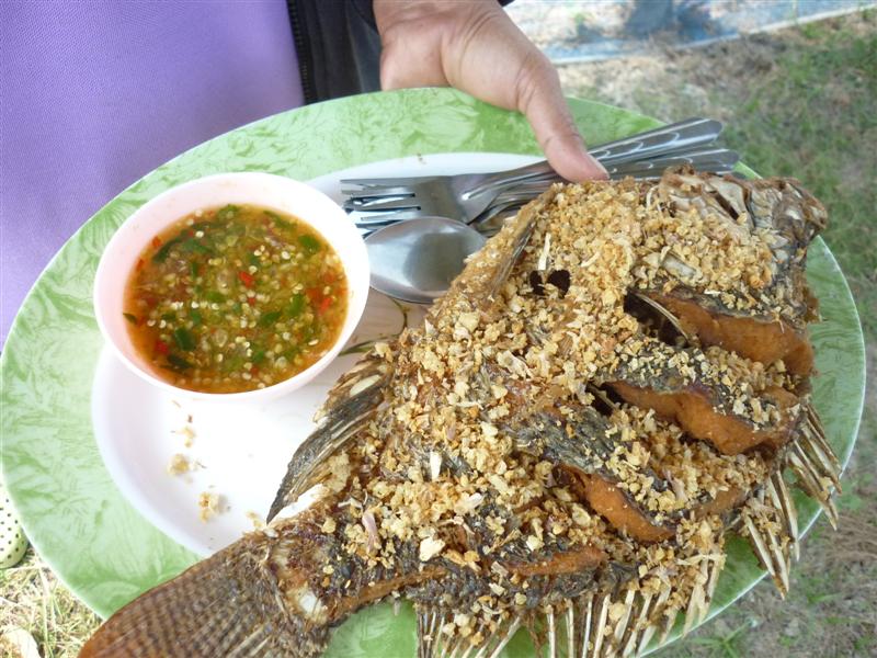 เนื้องี้เป็นปล้องๆ