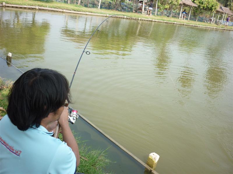 อ้าว.....ตาคนนี้จั่วโดนแล้วครับ :smile: