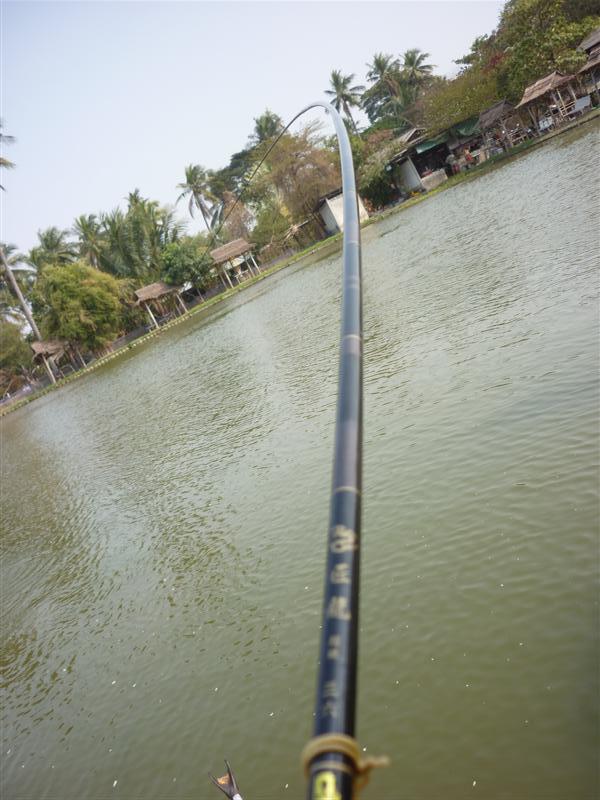 ตัดกลับมาที่ผมบ้างดิ :smile: