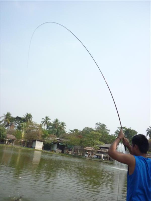 เต่เร่งมือใหญ่ครับ