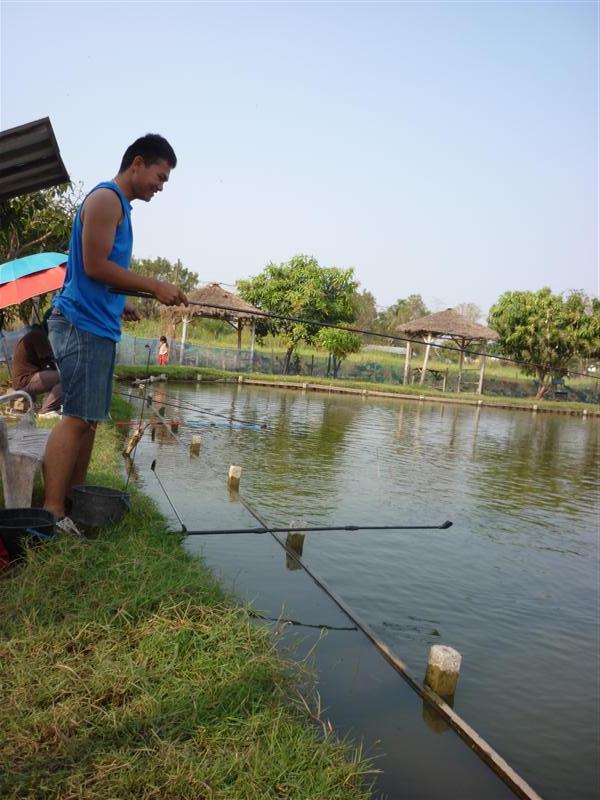 ปล่อยออโต้ไป