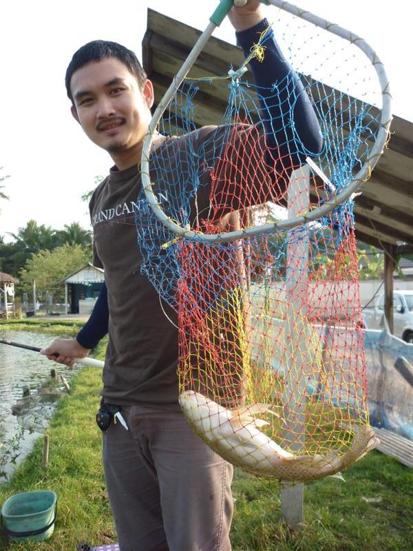 มีคนมาขอปลานิลไปชั่งกลับกันเยอะครับ  ส่วนใหญ่เขาตีตะกร้อจะได้สวายกัน