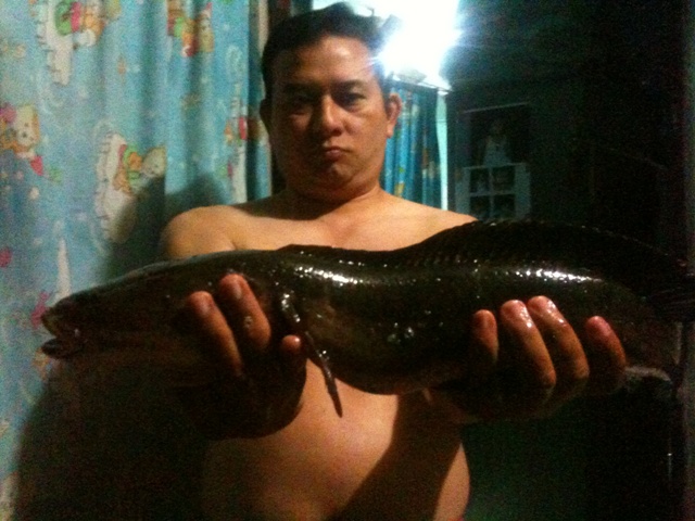 ก่อนสิ้นปีครับ :cheer: :cheer: :cheer:
