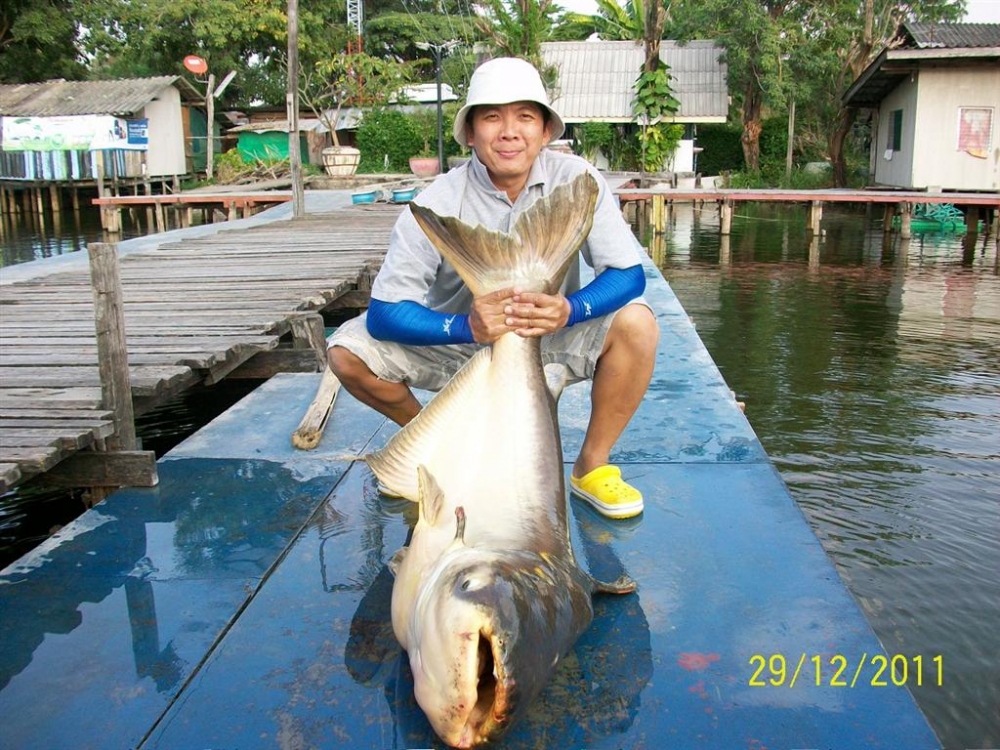 หล่อ แบบมีแสงๆ  :laughing: :laughing: :laughing: :laughing:
