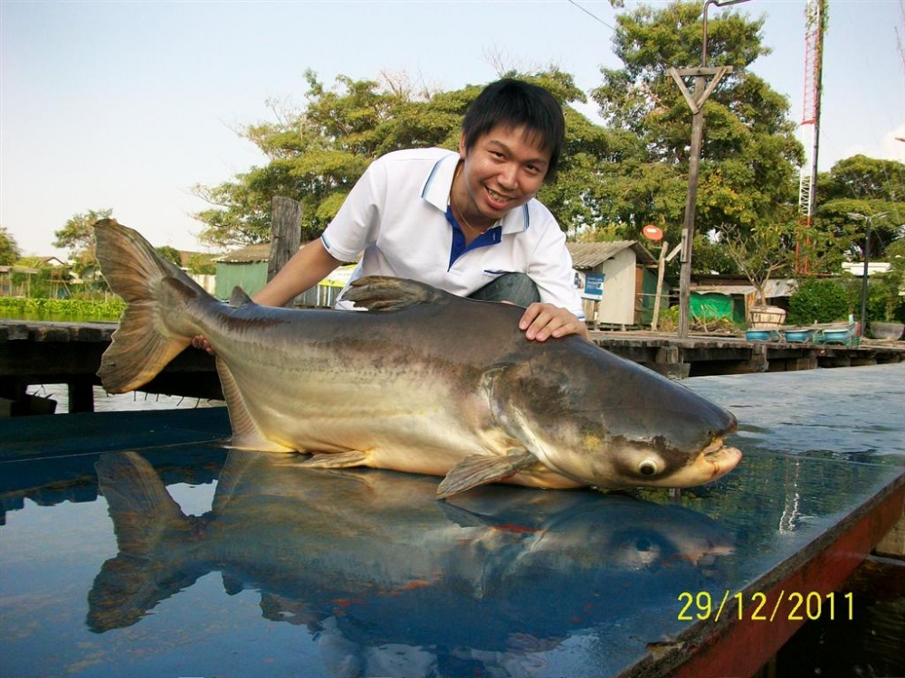 อยากจะกอดมันนะครับ

.......... แต่!!!! มันไม่ใช่ปลาของเรา

............... :laughing: :laughing: