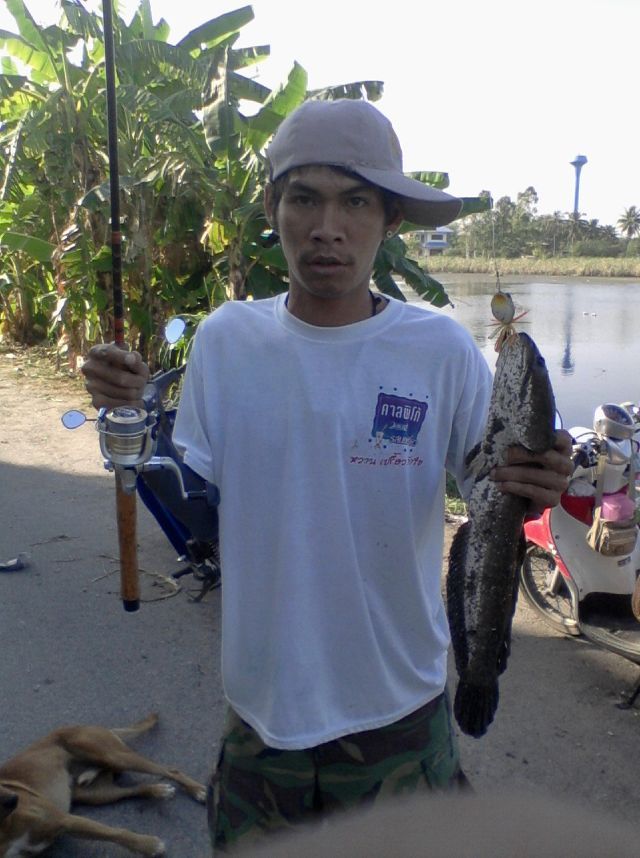 อันนี้ที่บ่อเพรชการาจครับ :smile: