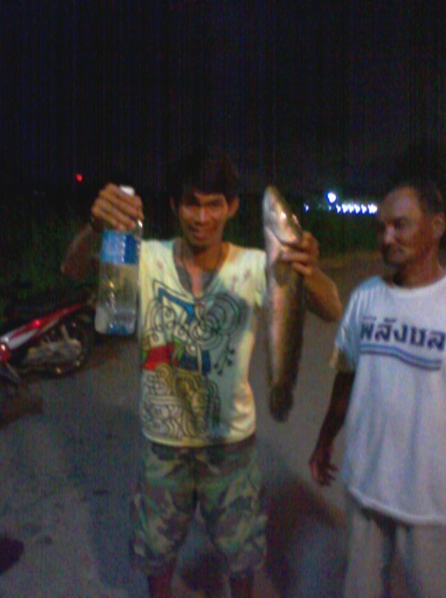 ดึกดื่นยังไม่กลับนะเต้ย
 :smile: :smile: :smile: