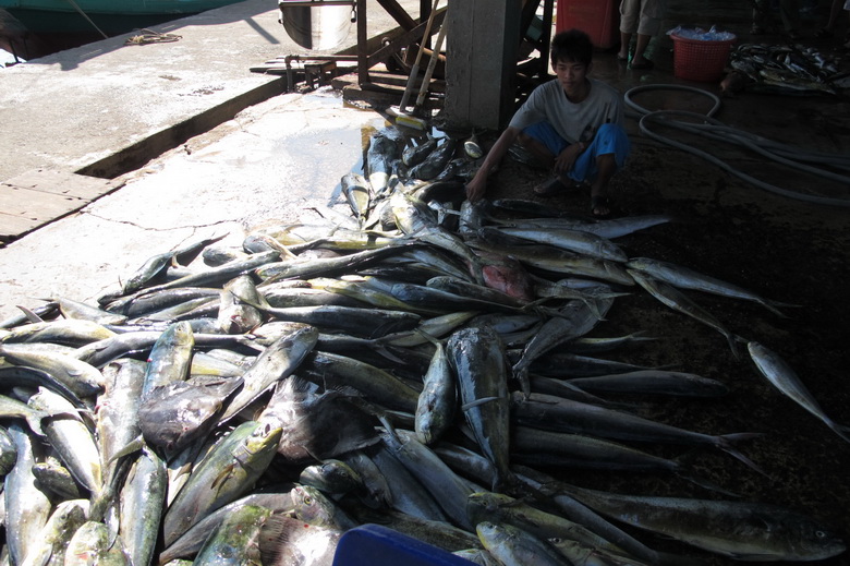 ตลุยรังอีโต้ทะเลตราดBy.คอเดียวกัน