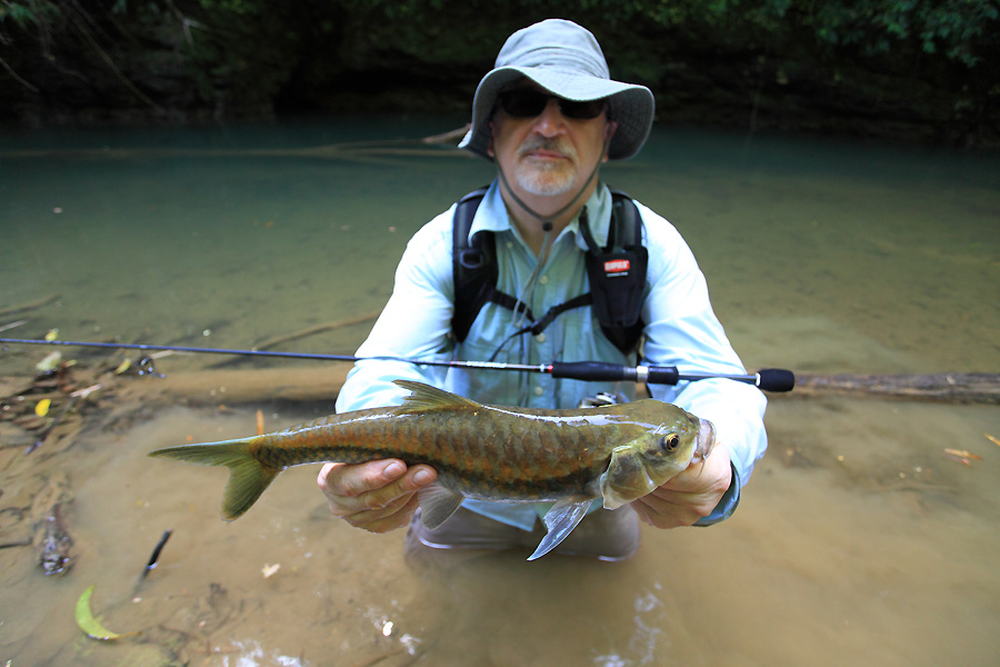 ปลาพวงที่ได้จากคันเบ็ดของ Graphiteleader Finezza 2-6lb ครับ มันอ่อนได้ใจ มันสุดๆเลยครับ รอก shimano 