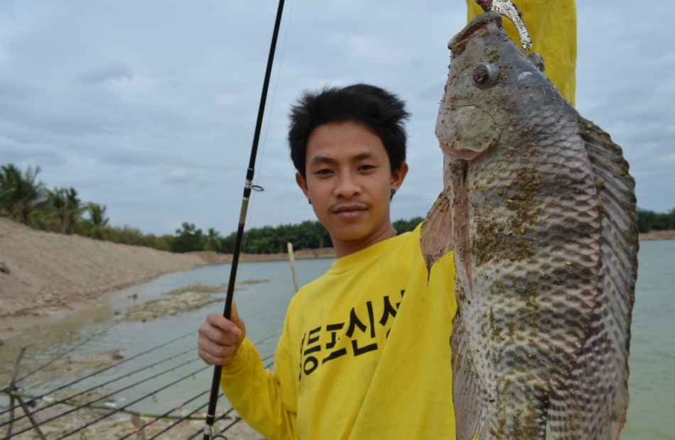โก้เดินไปตีกระดี่หวังปลาช่อน..แต่ล่อปลานิลเฉยเลย :laughing: :laughing: :laughing:
