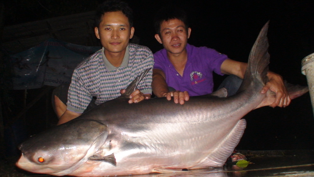 และอีก 1 ตัวปลา  2 คู่หู     ป.ปู_สเปเชียล    ก.เก่ง ปลาลอยฟ้า     :laughing: :laughing: