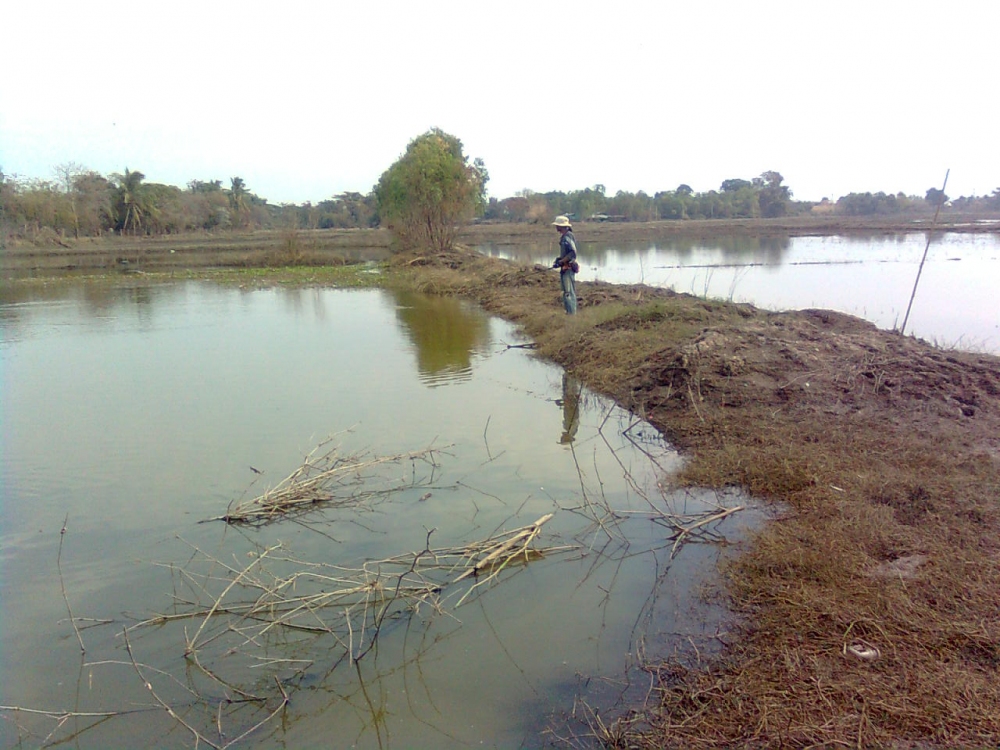 กัดตัวเดียวจริงๆ เหยื่ออะไรก็ไม่ชอบ ช่วยกันรุมสารพัดเหยื่อก้ยังไม่ยอม เฮ่ย...


 :think: :think: 