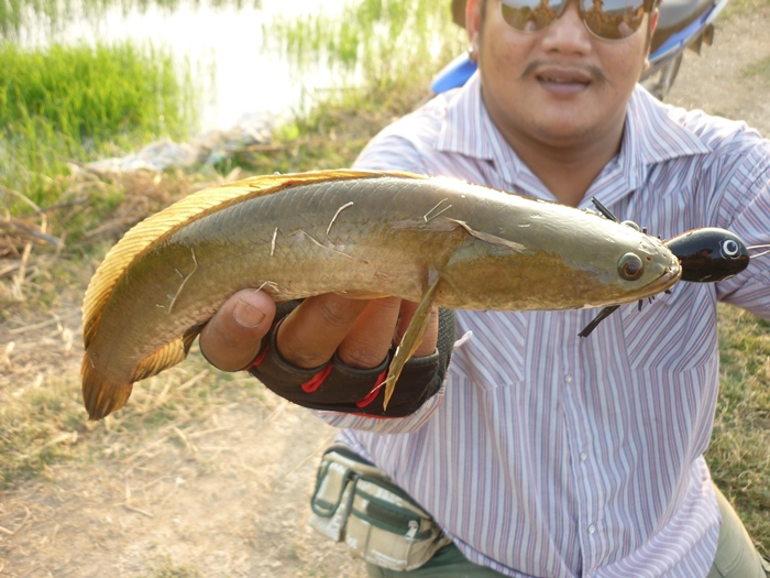 ผบ. ถ่ายยังไงเห็นแต่ปลา :grin: :grin: :grin: