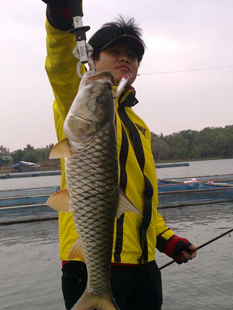จัดไปอีกรูอครับ :love:

[q][i]อ้างถึง: kongfishing posted: 04-01-2555, 21:20:01[/i]

++ตามชมคับ 