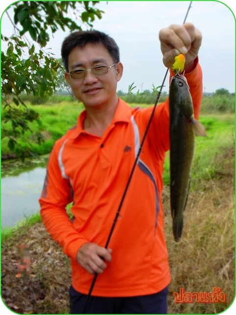 ลองตีได้สัก 2-3 ไม้ ก็มีกัดแต่ไม่ได้ตัว หันตีอีกด้านก็ได้เจ้าตัวนี้ขึ้นมา

ช่วงนี้ไต๋เกิดอาการง่วง