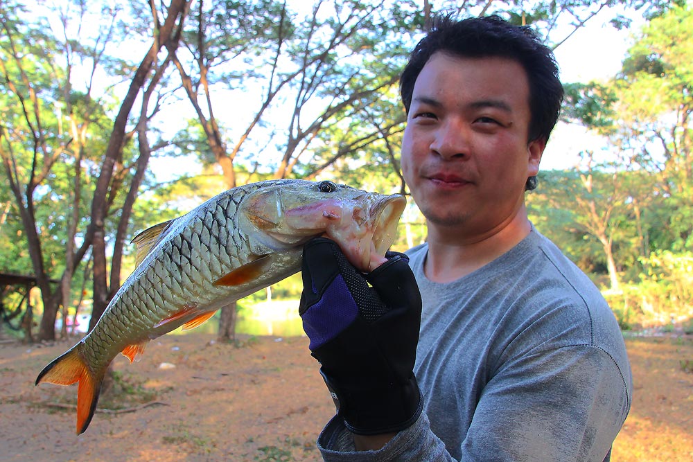 ปีใหม่ น้ำไหล กับวันของอ้นซ่า (สั้นนะ)