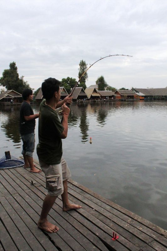 [q][i]อ้างถึง: fishingjoke posted: 06-01-2555, 11:49:41[/i]

++++++ครับ :cheer: :cheer: :cheer: :c