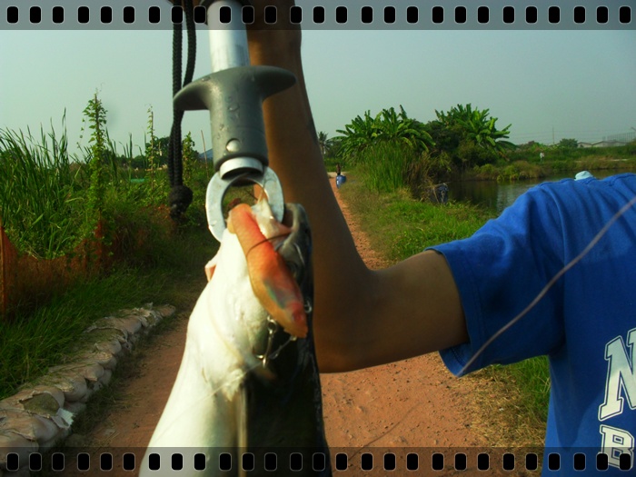 

              มันยังงัยกันวระเนี่ยะ... :spineyes: :spineyes: :spineyes: :spineyes: :spineyes: