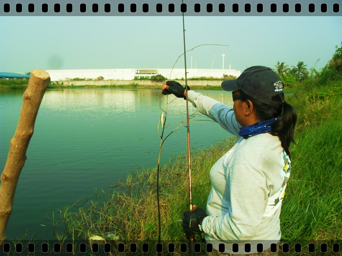 
อันนี้ไม่เกี่ยวนา..ป้าแอ้.....


[q][i]อ้างถึง: poxky posted: 05-01-2555, 19:23:26[/i]

 :che