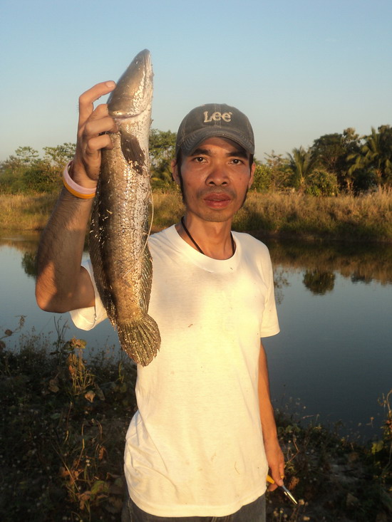 ตกช่อนกับพี่ที่บ้านเกิด (สุพรรณ)