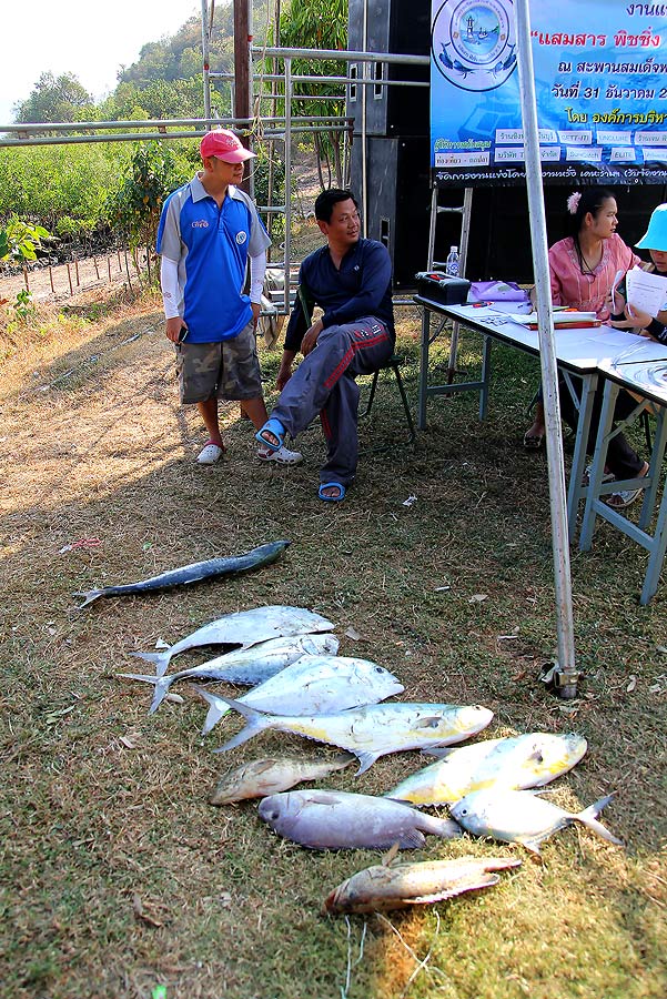 
 [b] ทีมม้าน้ำ  เอาปลามาชั่งก่อนใคร

ทีมนี้ทีมเดียว ที่ได้ปลาสละ[/b]