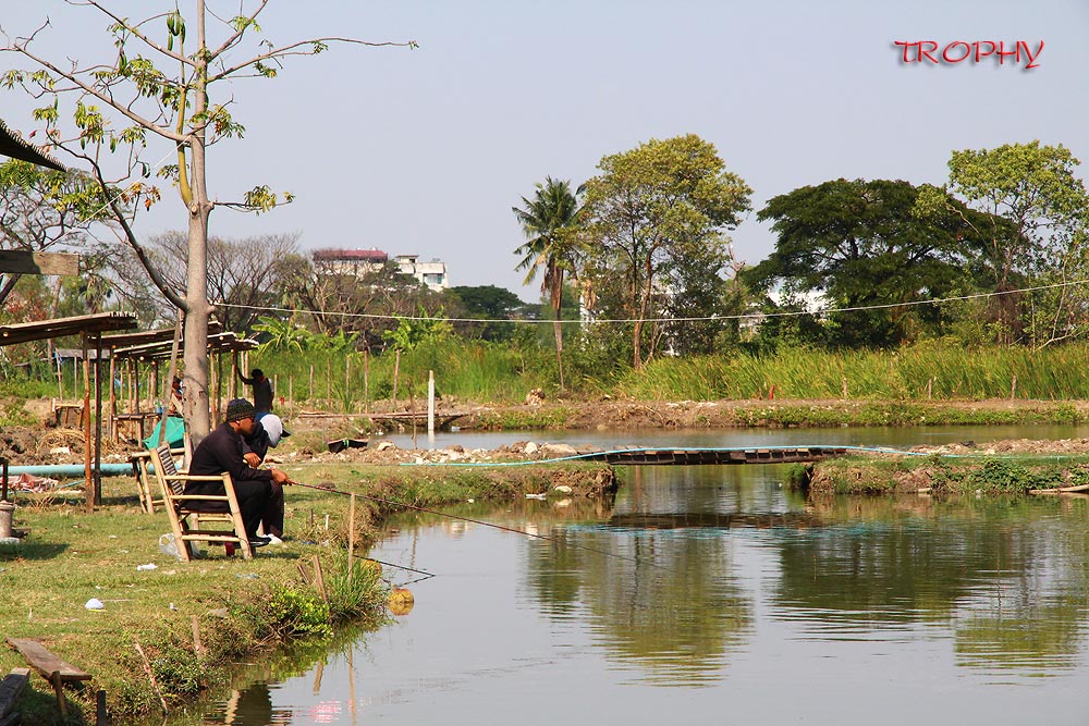 ด้านซ้ายมีคนตกหลิวอยู่แล้วสองท่าน น่าจะมาหาปลานิลไปฝากที่บ้านครับ  :smile: