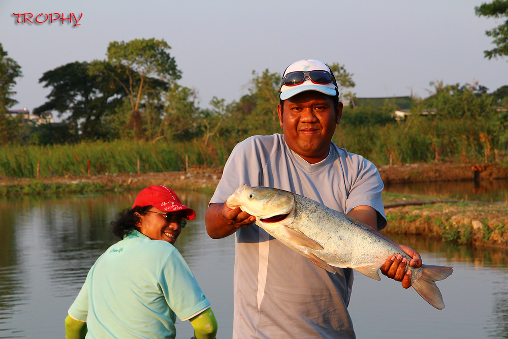 โทรฟี่อีกตัวของน้าบังครับ  :smile: